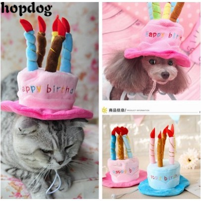 Mũ Bánh Sinh Nhật Cho Thú Cưng, Mèo, Chó