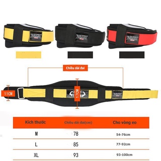Đai lưng mềm tập gym aolikes, nịt lưng squat aolikes gym_chất store size m/l/xl