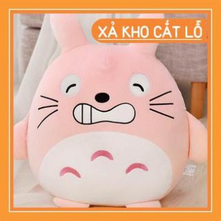 [XẢ KHO] Chăn Gối Mềm Totoro Văn Phòng (CÓ ẢNH THẬT)