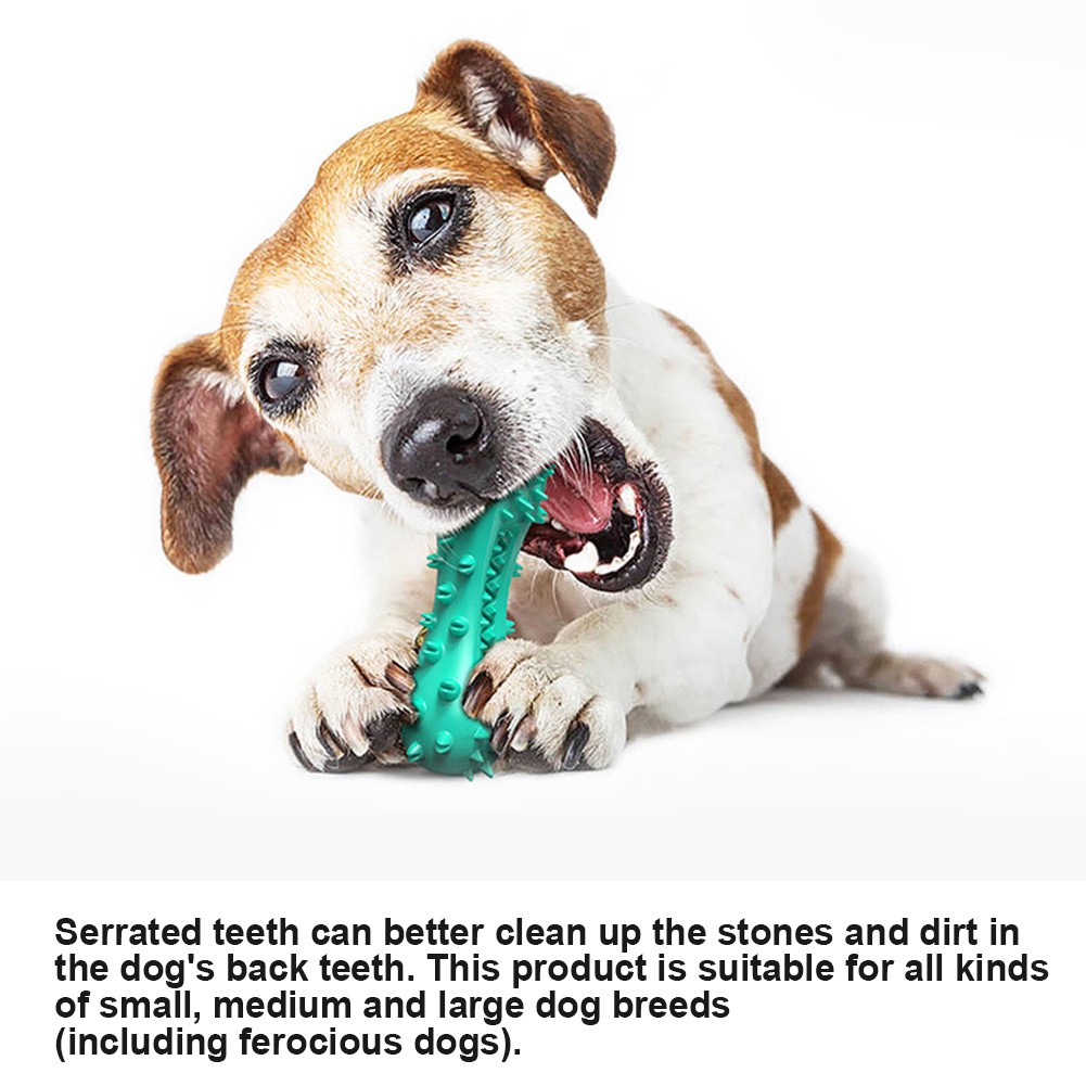 Đồ chơi nhai làm sạch răng vui nhộn cho cún cưng