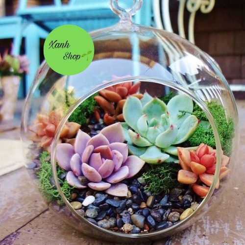 1KG Đá Sỏi Đủ Màu Trang Trí Mặt Chậu Cây,Bể Thủy Sinh