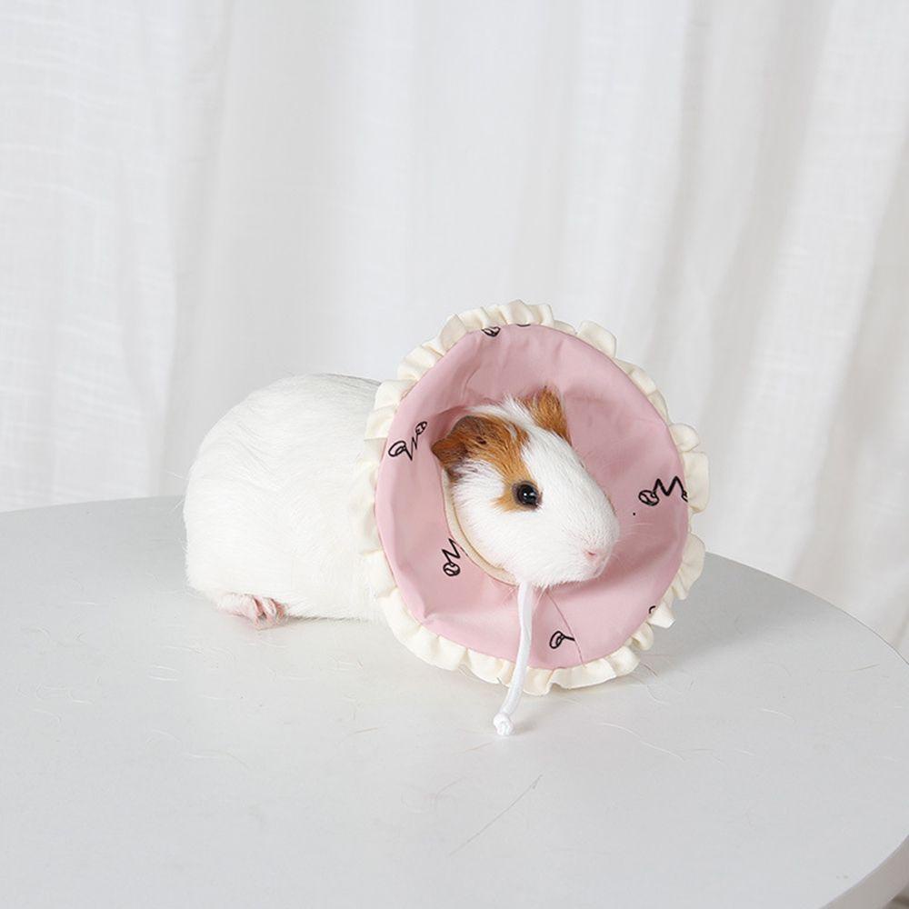 LEISURE Vòng Cổ Hình Nón In Chữ Guinea Dễ Thương Cho Thú Cưng