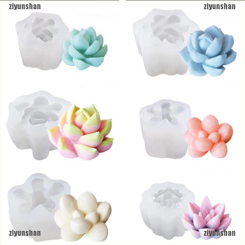 Khuôn Silicone Làm Đồ Trang Sức Hình Cây Xương Rồng