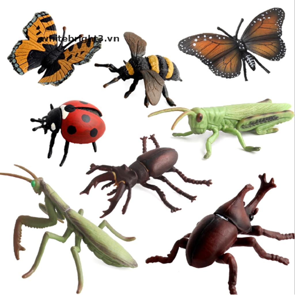 Mô Hình Côn Trùng / Bọ Cánh Cứng / Bướm / Ong / Côn Trùng Mô Phỏng% bady &amp; toy% 0 0 0 0 0