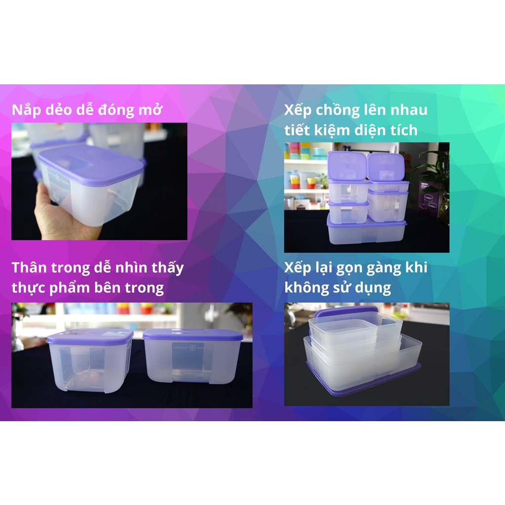 BỘ 7 HỘP TRỮ ĐÔNG NẮP TÍM KÍCH THƯỚC ĐA DẠNG