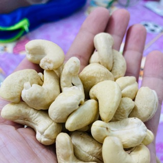 500gr nhân điều w240 tươi