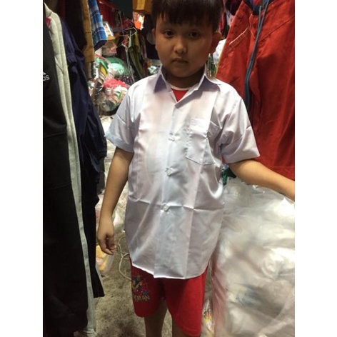 Free ship  Áo sơ mi trắng học sinh cấp 1