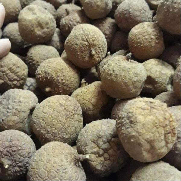 500g Vải thiều sấy khô [LOẠI 1 - FREESHIP 50K] chuẩn hàng Lục Ngạn, Bắc Giang, hạt nhỏ, cùi dày, ngon ngọt | BigBuy360 - bigbuy360.vn