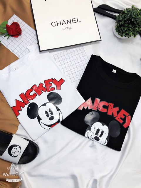 [57] [HÌNH THẬT] áo thun nữ ⚜️FREESHIP⚜️ Thun Nữ Hàng Unisex Phông Nữ Quảng Châu | BigBuy360 - bigbuy360.vn