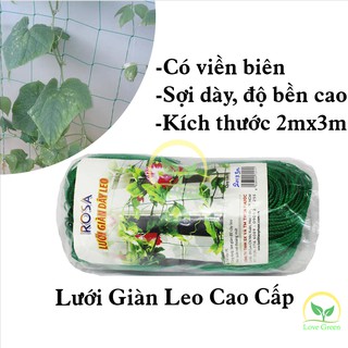 Lưới Giàn Dây Leo Rosa 2X3M