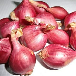 Hành tím Lý Sơn Quảng Ngãi