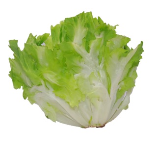 Xà Lách Carole 217 (5gr)