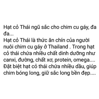 hạt cỏ thái lan dành cho chim cu ăn (2ki : 100k)