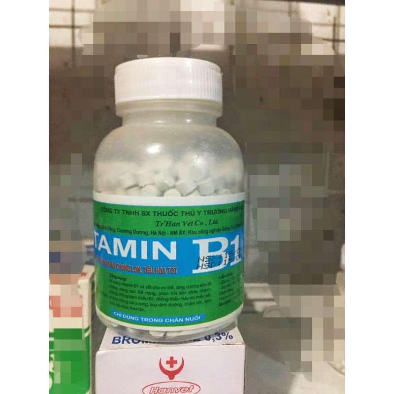 Vitamin B1 - Viên kích thích chó, mèo,gà đá ham ăn, tiêu hóa tốt (chỉ dùng trong thú y)