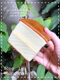 BÁNH BÔNG LAN SHOUGONG BM