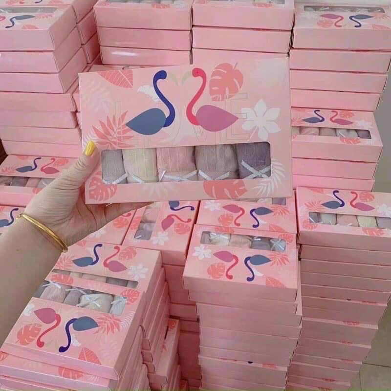 Hộp 5 quần lót nữ thiên nga, quần chip nữ cute, cotton co giãn 4 chiều kháng khuẩn, ôm sát thoải mái.