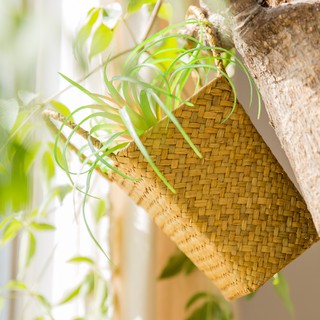 Giỏ mây tre đan cắm hoa, trang trí có quai