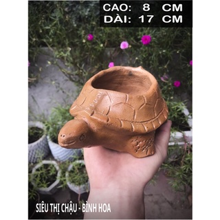 Chậu trồng sen đá, chậu cây tiểu cảnh, chậu tiểu cảnh mini - gốm bàu trúc rùa lớn