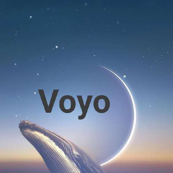 voyo12.vn