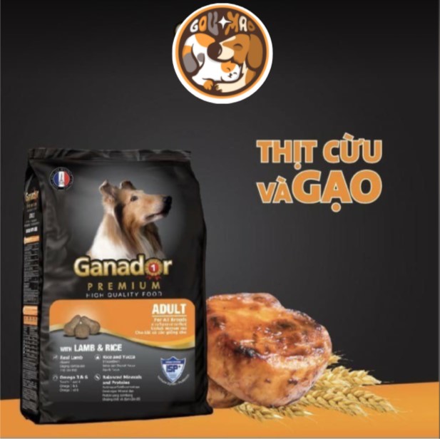 Thức Ăn Cho Chó Lớn Ganador Adult Hạt Khô Vị Gà, Cá Hồi Gói 400g - GouMao Pet