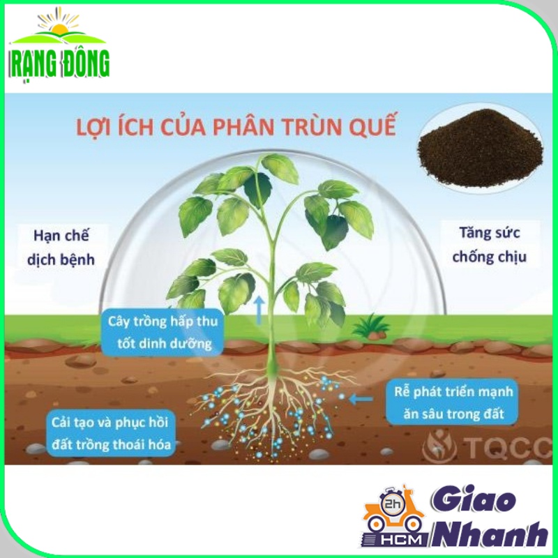 Phân Trùn Quế LAVAMIX - Phân Bón Bổ Sung Dinh Dưỡng, Cải Tạo Đất Hiệu Quả - Túi 2kg