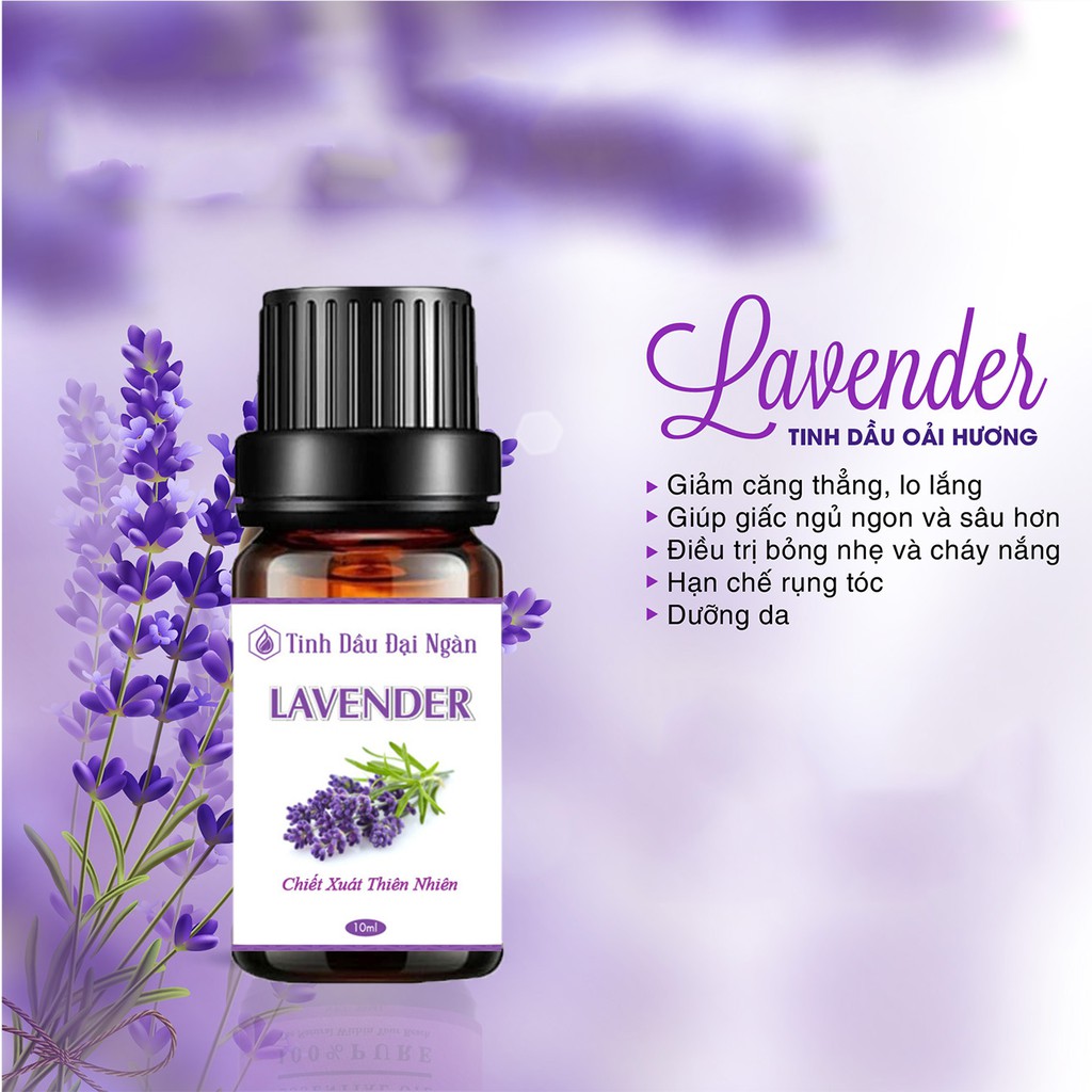 Tinh dầu lavender oải hương thơm phòng thiên nhiên 10ml Đại Ngàn