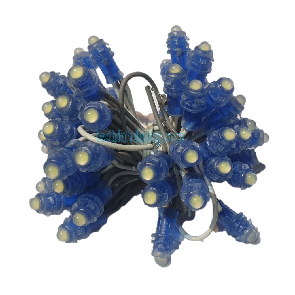 10 DÂY 500 Bóng LED Đúc F5/9mm 12V