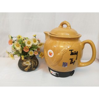 Ấm sắc thuốc loại to 5L Trường Thọ BA-1188