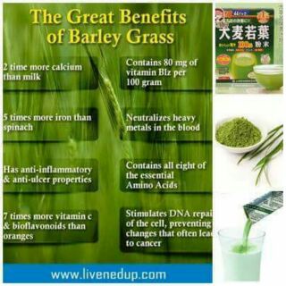 BỘT MẦM LÚA MẠCH GRASS BARLEY 44 GÓI