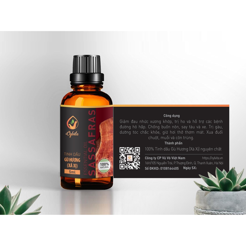 Tinh dầu Gù Hương (Xá xị) Oylvita nguyên chất thiên nhiên giảm đau nhức xương khớp, chữa giảm ho, đuổi muỗi