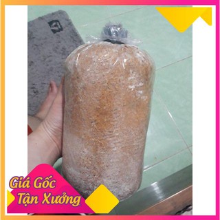 phôi nấm sò -bào ngư tím