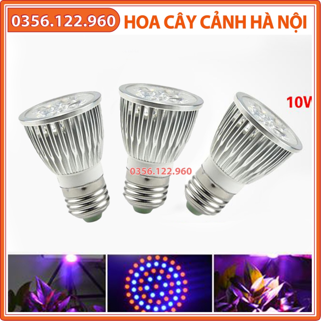 Combo 3 Đèn 10W Led Grow Light Kích Thích Tăng Trưởng Cho Cây Trồng