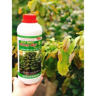 Phân bón max root bung đọt ra rễ chuyên dùng cho mai vàng chai 1 lít