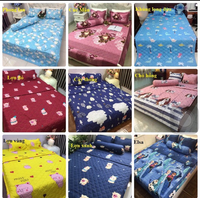 Bộ ga gối poly cotton m6/m8 ( được chọn mẫu) | BigBuy360 - bigbuy360.vn