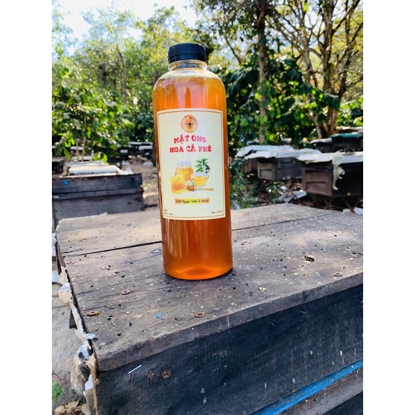 Mật ong hoa cà phê(vụ mới)