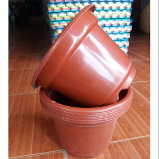10 chậu trồng cây đẹp rộng 24cm cao 18cm