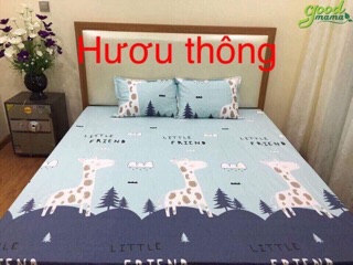Ga chống thấm cotton
