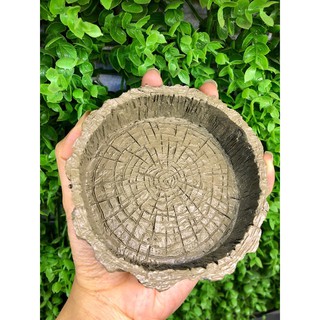 CHÉN NƯỚC. CHÉN ĂN HÌNH GỐC CÂY