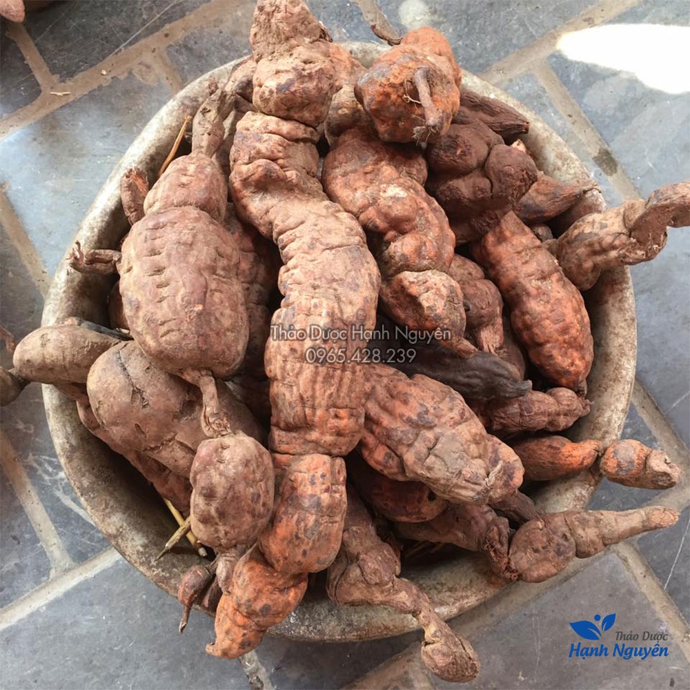 Hà thủ ô chế đỗ đen xanh lòng 100g  - Thảo Dược Hạnh Nguyên