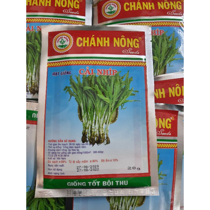 hạt giống cải nhíp - gói 20gr