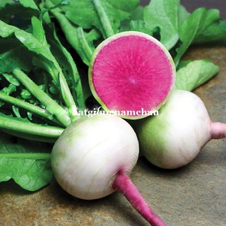 HẠT GIỐNG CỦ CẢI  RUỘT DƯA