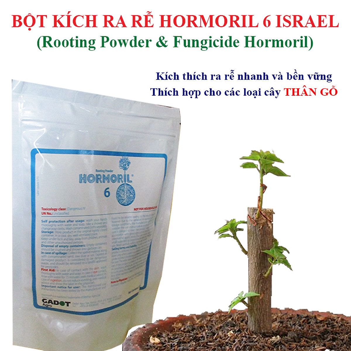 Bột Kích Ra Rễ Israel cho cây Thân Gỗ Hormoril 6, kích thích ra rễ nhanh, sử dụng giâm, chiết các loại cây thân Gỗ