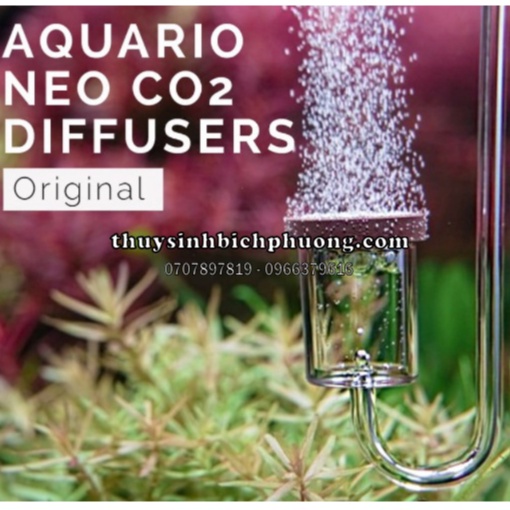 CỐC SỦI CO2 SIÊU MỊN NEO HÀN QUỐC - THẨM MỸ CHO HỒ THUỶ SINH