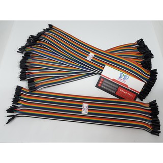 Dây bẹ 30cm đực – cái (40 sợi)