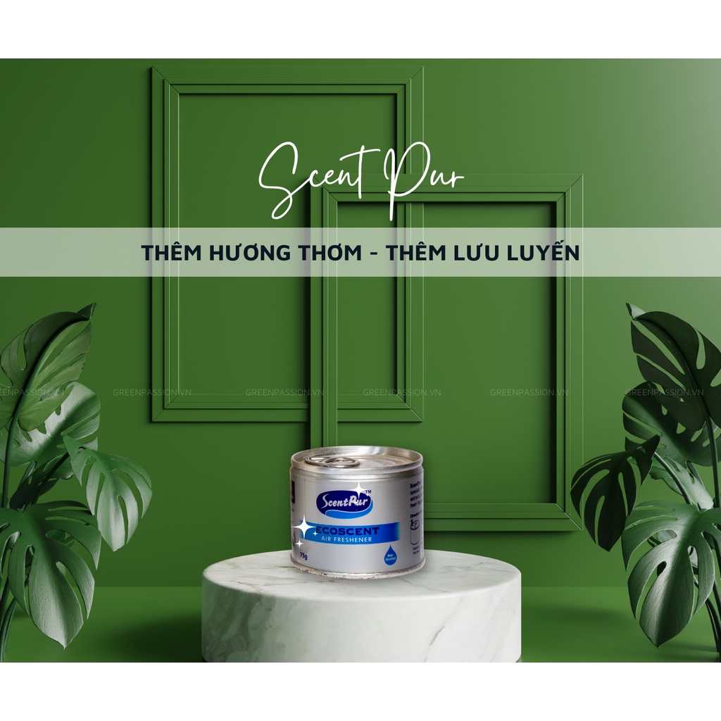 Tinh dầu thơm phòng Ecoscent cao cấp ScentPur 75g Với 10 hương thơm