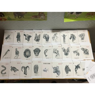 Bộ thẻ hình ảnh animal 4D hình con vật (31 mẫu mới)