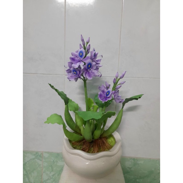 Chậu hoa lục bình đất sét