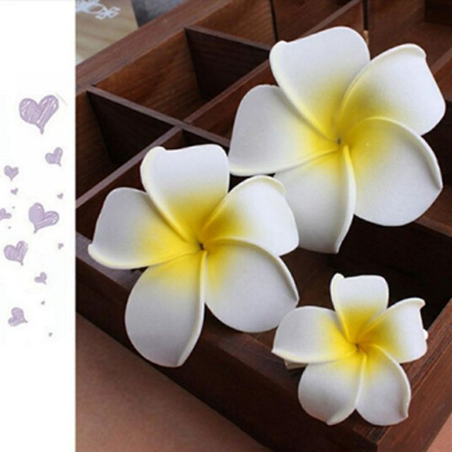[ĐẠO CỤ CHỤP ẢNH] hoa sứ
