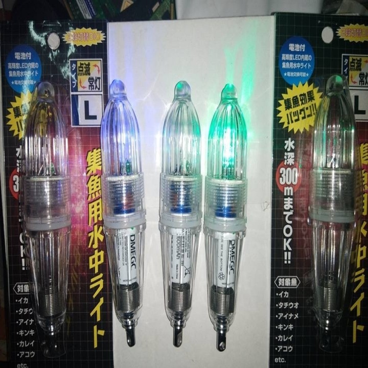 Đèn Dụ Mực, Cá Hố