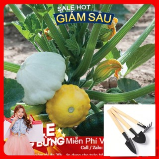 Hạt Giống Bí Đĩa Bay - 10 Hạt / Gói - Tặng Kèm Bộ Dụng Cụ Trồng Cây Mini